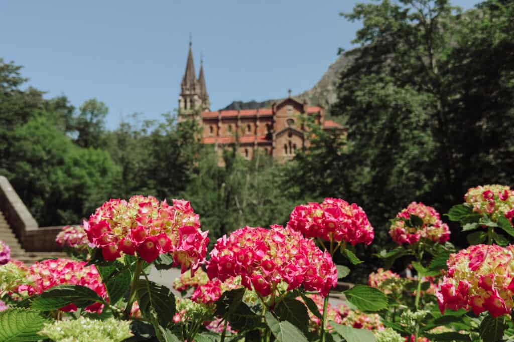 Covadonga Cathedral and flowers