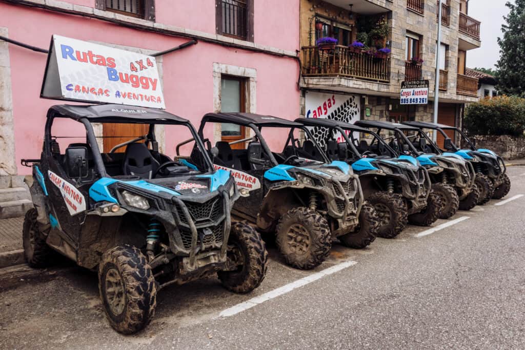 What to do in Cangas de Onis