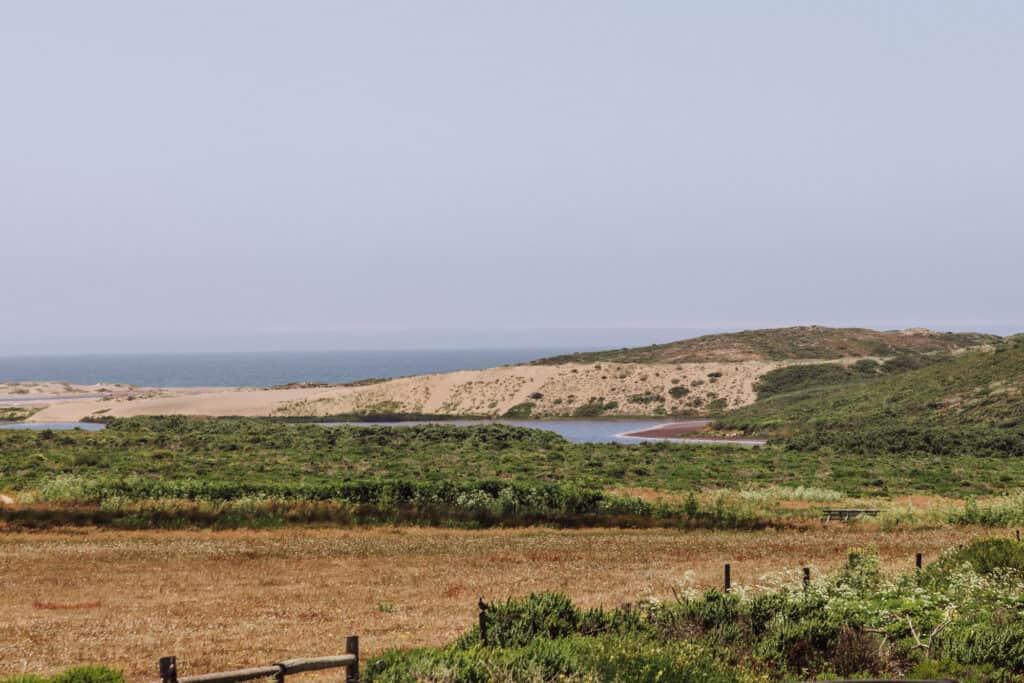 Point Reyes trail to Abbotts Lagoon