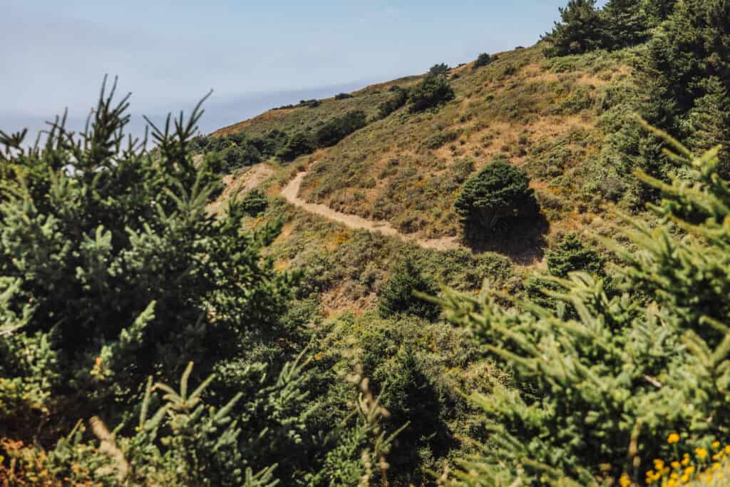 The hiking trail to Alamere Falls