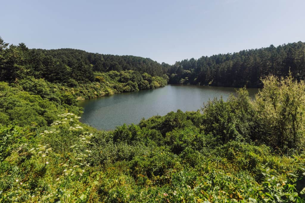 Bass Lake at Point Reyes National Seashore