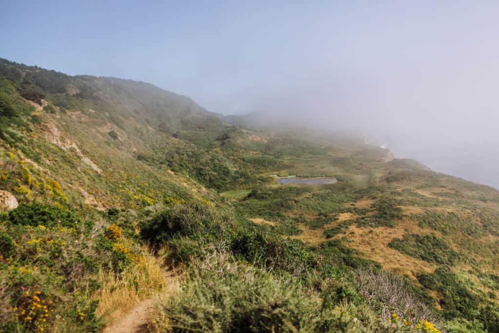 Alamere Falls hike