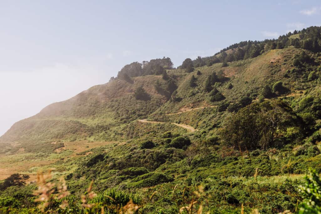Alamere Falls hiking trail beyond the shortcut