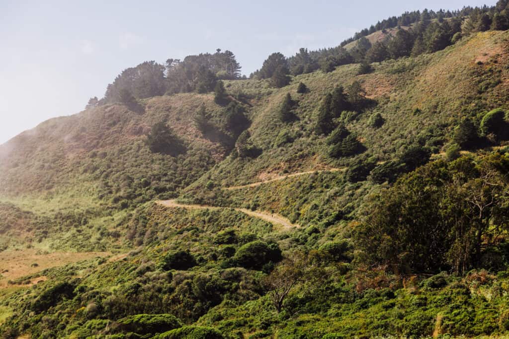 The trail along the coast to Alamere Falls