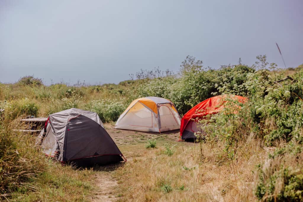 Wildcat Campground at Point Reyes