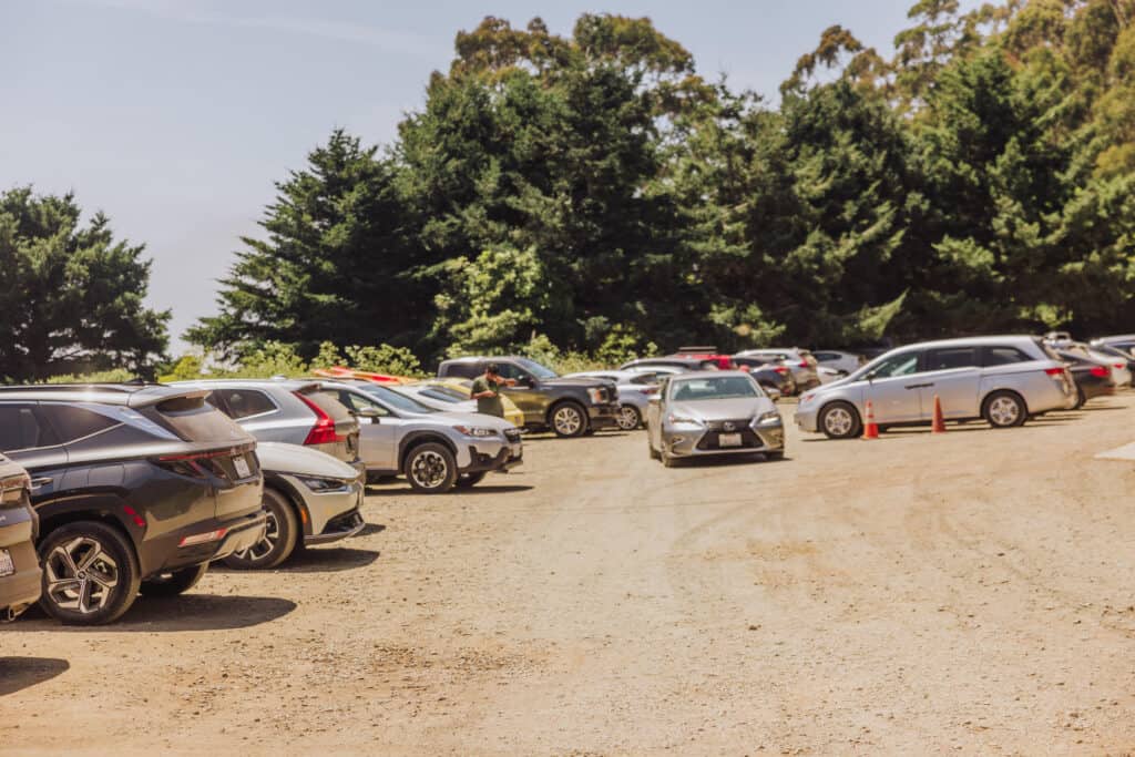 Alamere Falls hike parking lot.