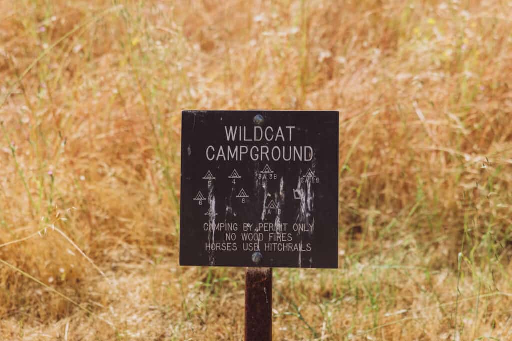 Camping at Point Reyes