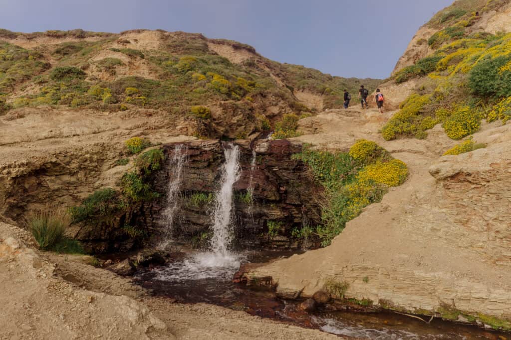 Above Alamere Falls at Point Reyes