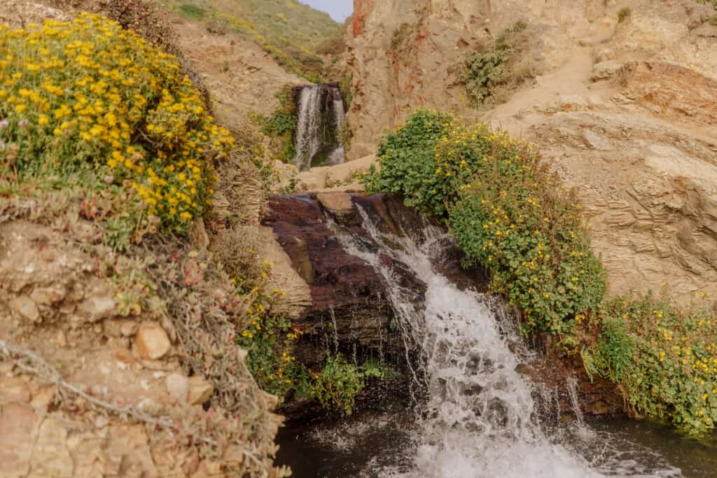 Above Alamere Falls at Point Reyes National Seashore