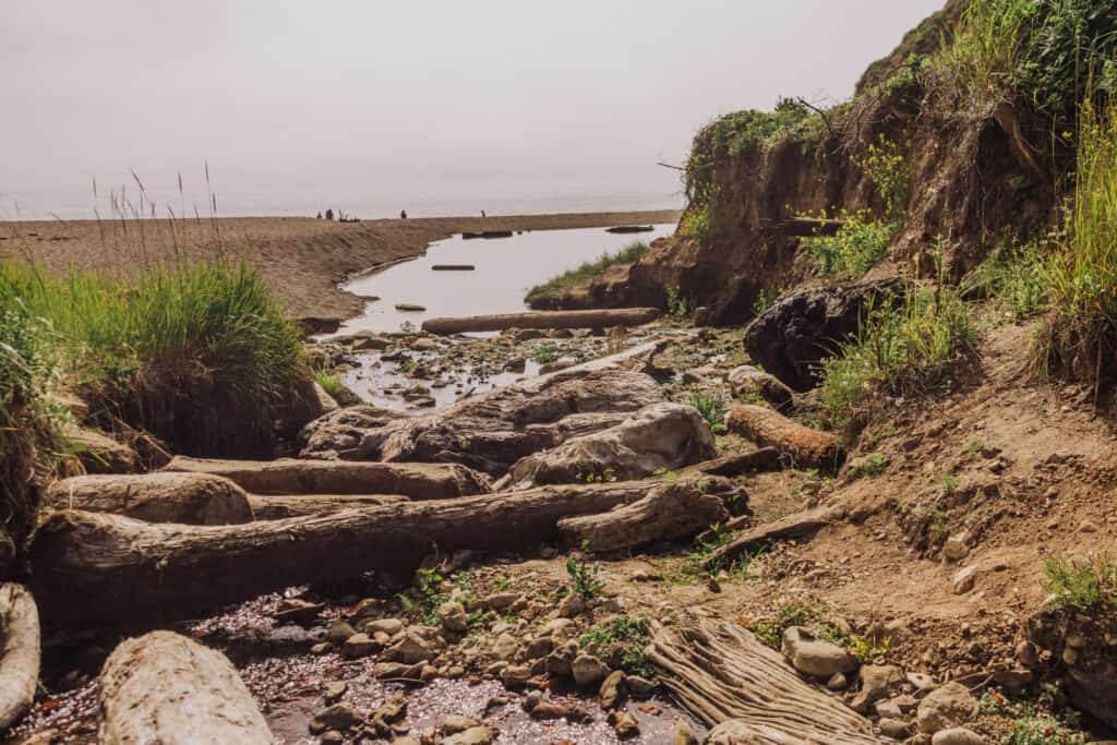 Wildcat Campground and Beach