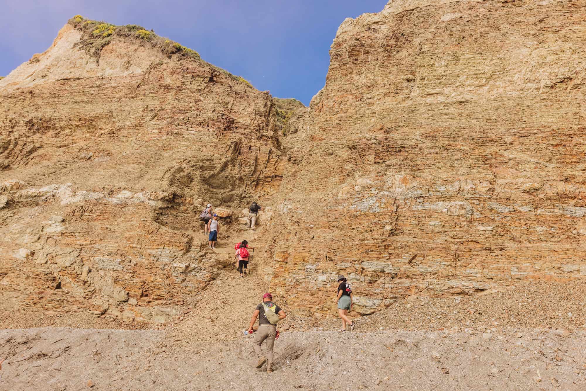 The Alamere Falls Hike The Best Point Reyes Trail