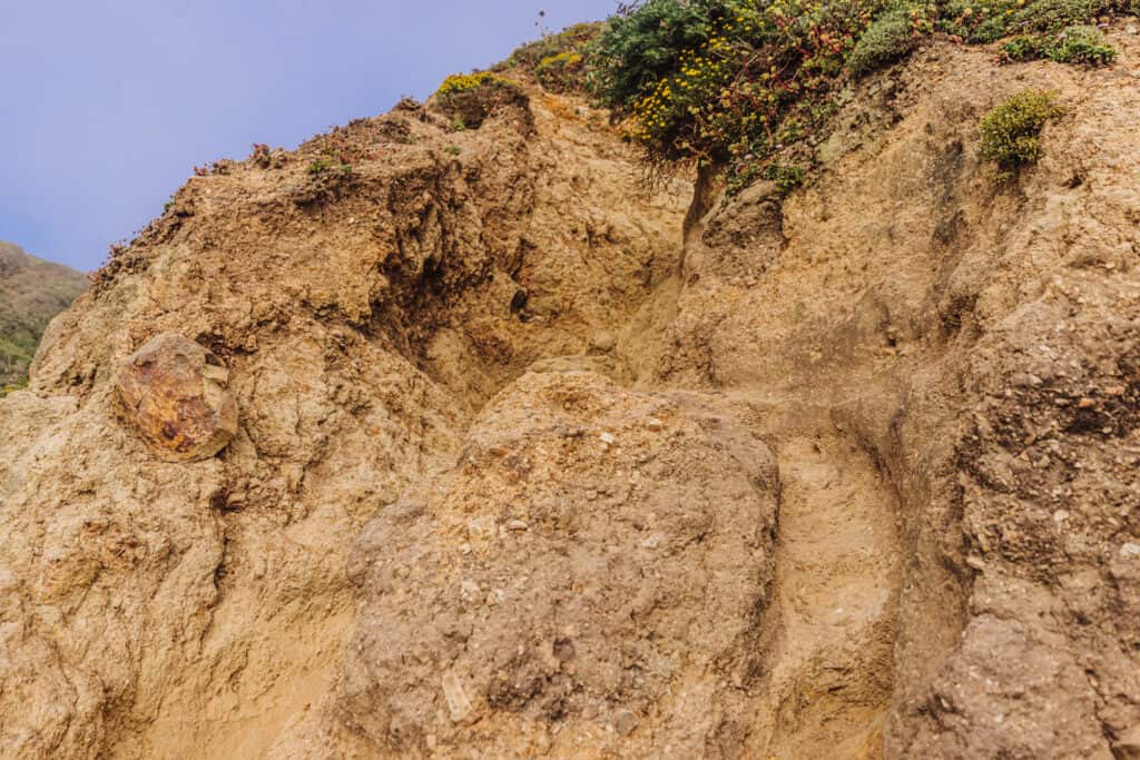 Alamere Falls shortcut from the beach