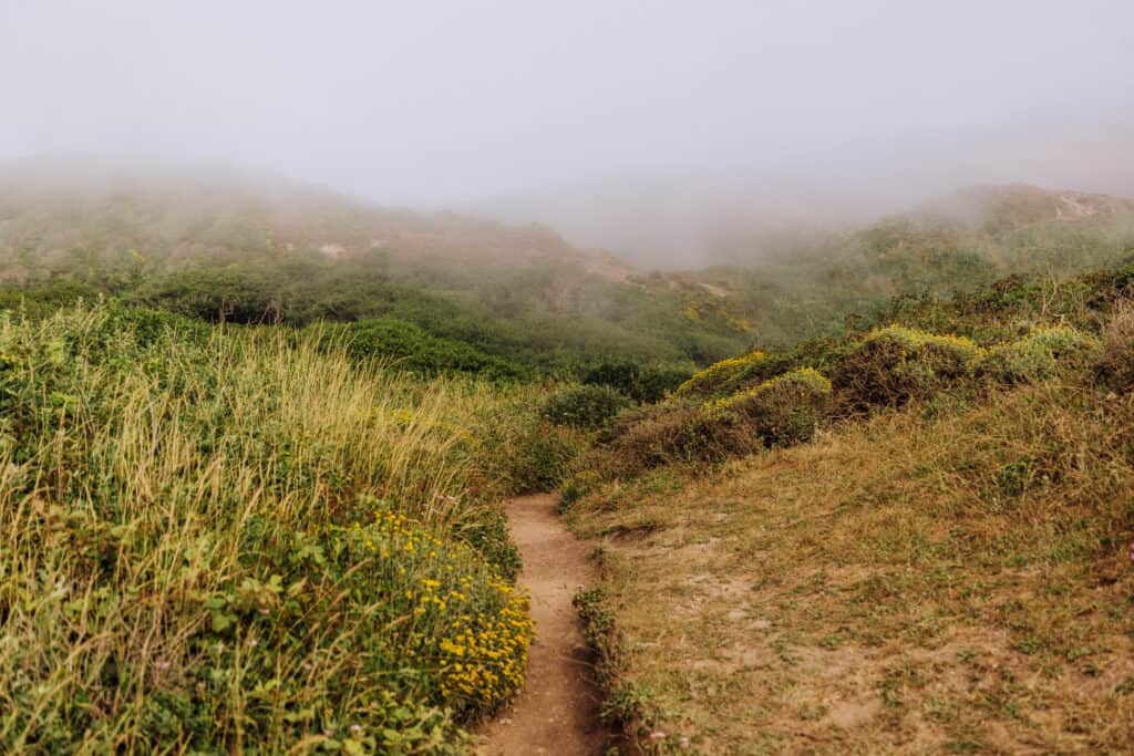 Fog along the hike to Alamere Falls