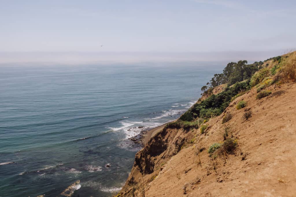 The Alamere Falls hiking trail along the coast.