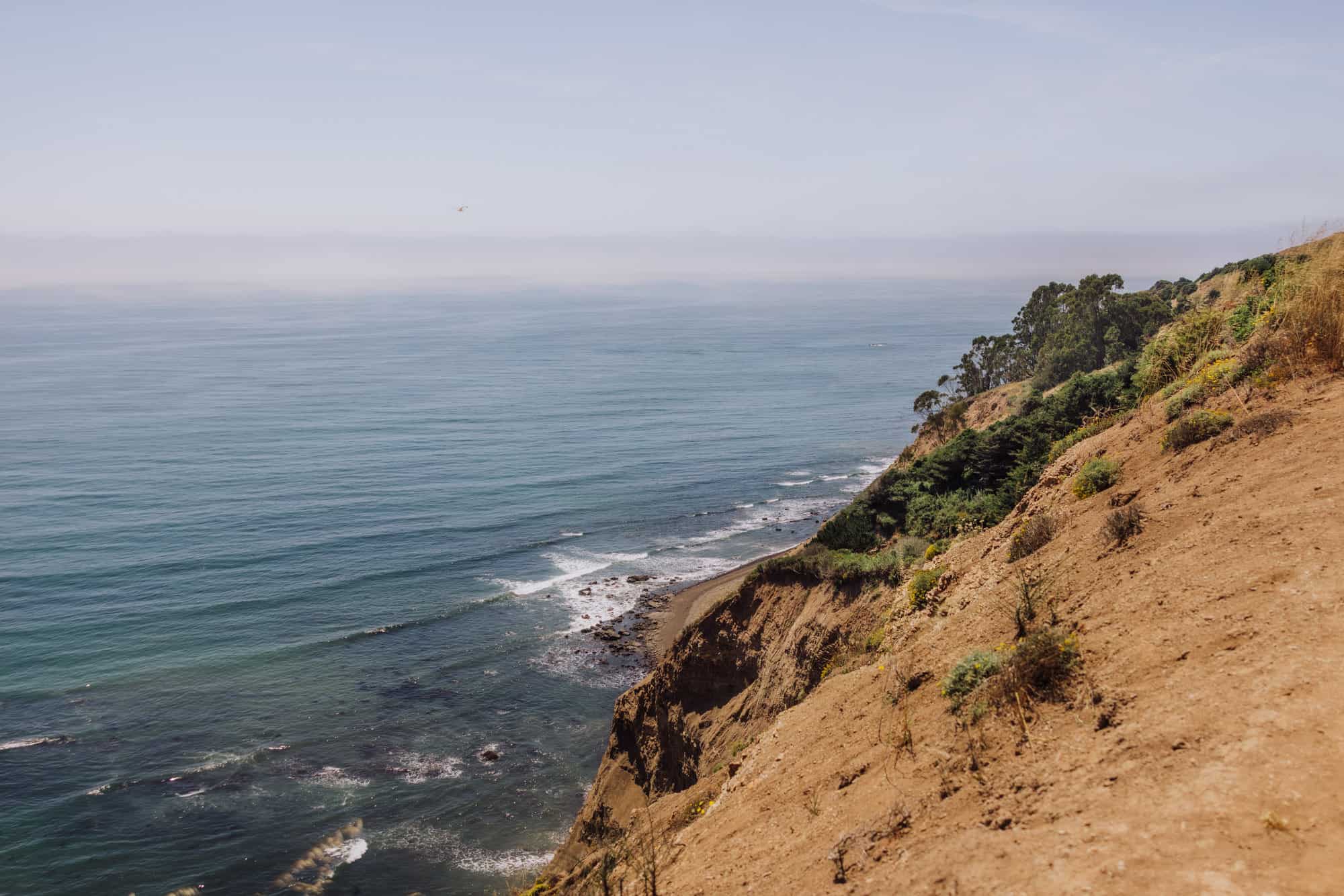 The Alamere Falls Hike The Best Point Reyes Trail