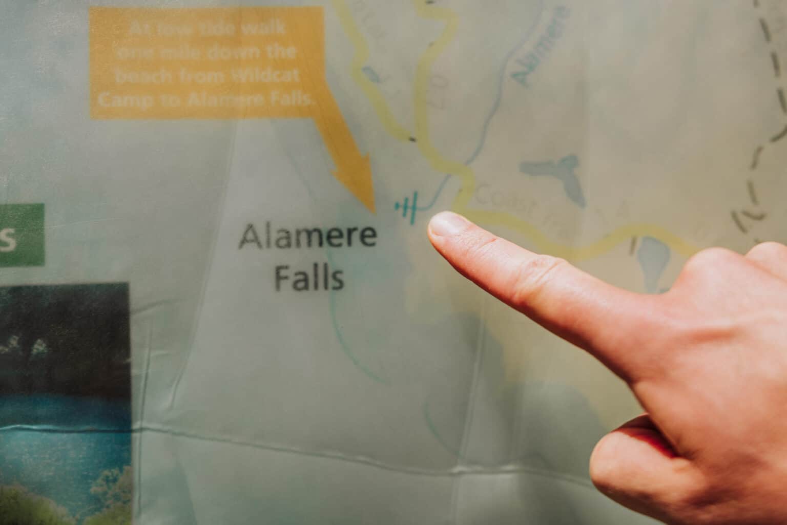 The Alamere Falls Hike The Best Point Reyes Trail