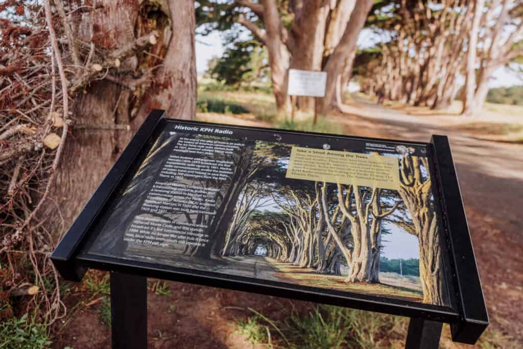 Cypress Tree Tunnel sign