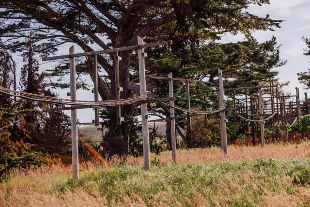 Morse Code radio transmission lines on the coast of California