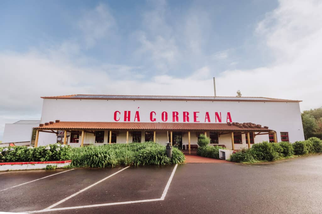 Cha Gorreana tea factory on São Miguel