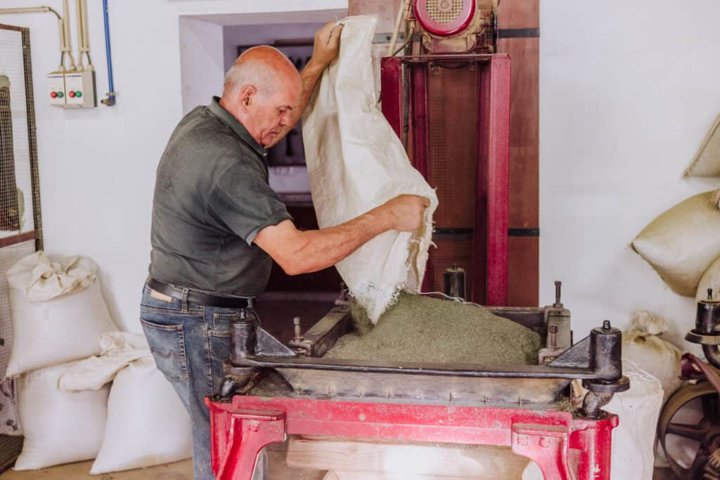 Gorreana tea factory tour