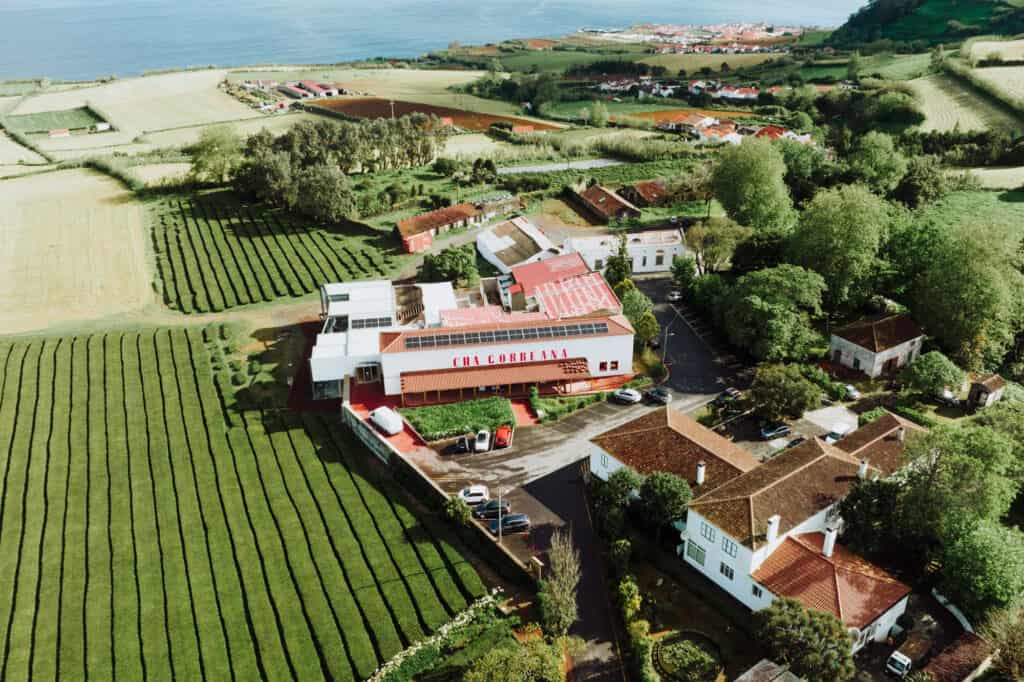Gorreana: Azores Tea Fields