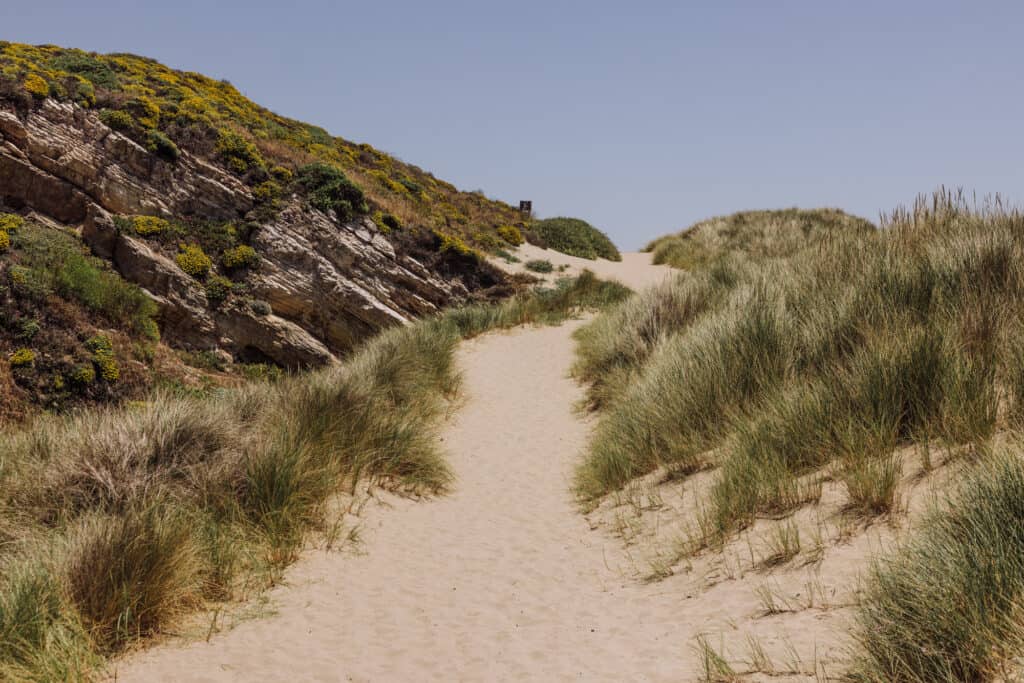 Point Reyes hikes: Kehoe Beach trail