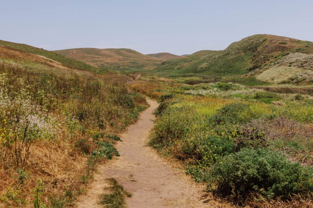 Kehoe Beach Trail