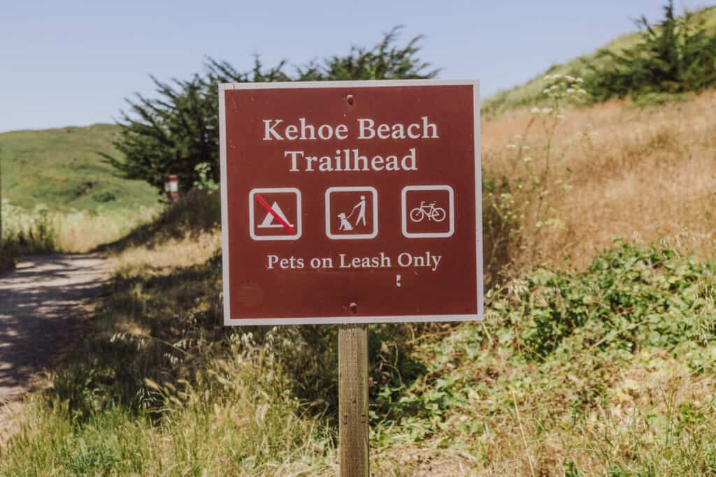 Kehoe Beach trailhead at Point Reyes