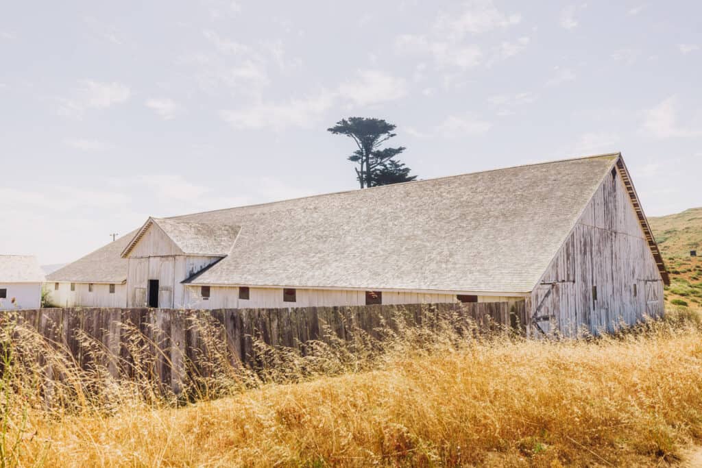 Pierce Point Ranch