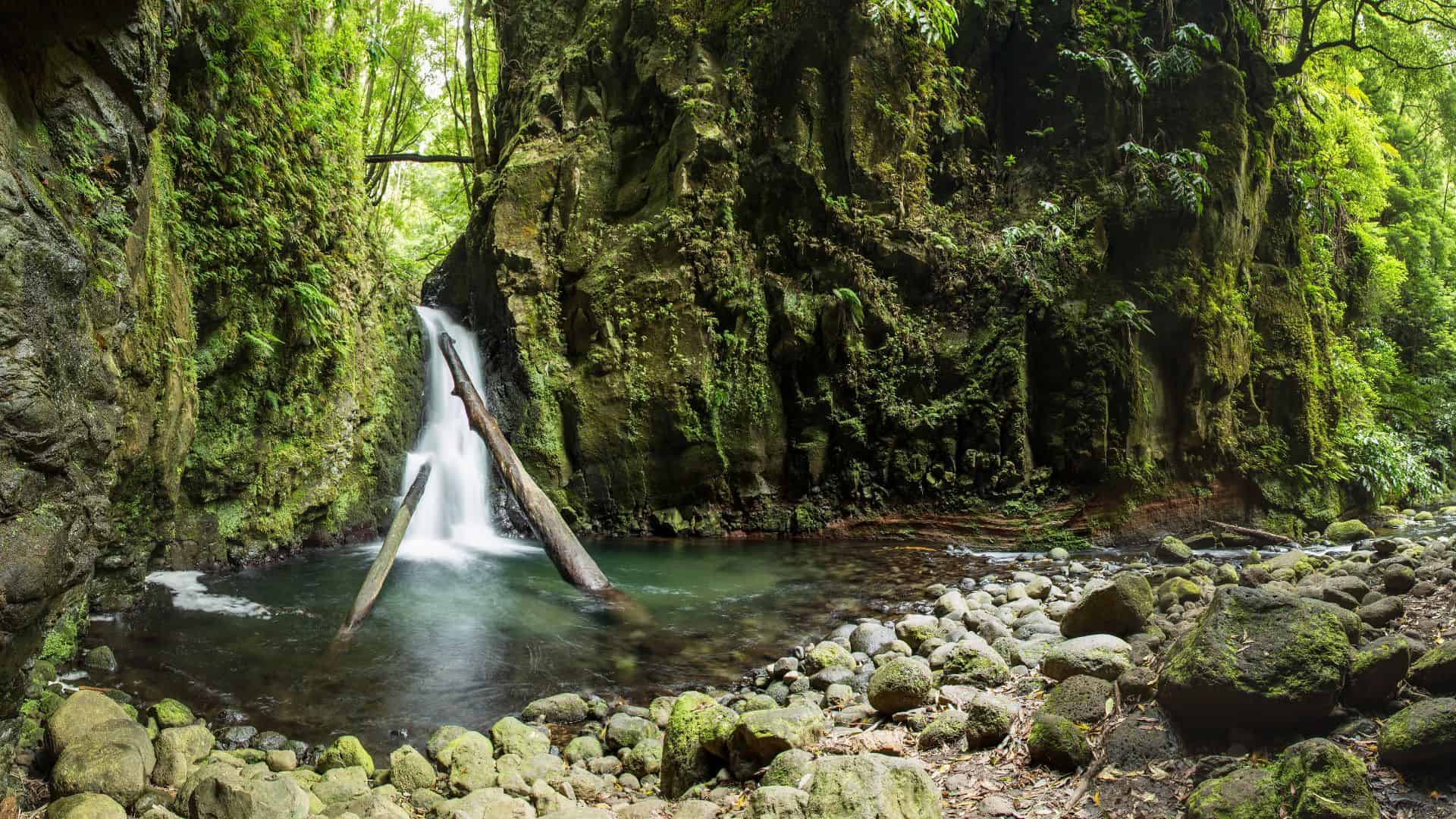 Waterfalls of Sao Miguel: 10+ Must-See 'Cascatas' in the Azores - Jared ...