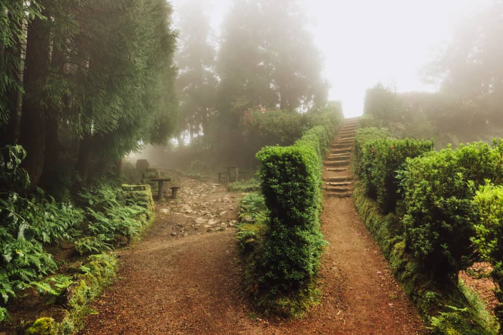 Azores hiking trail