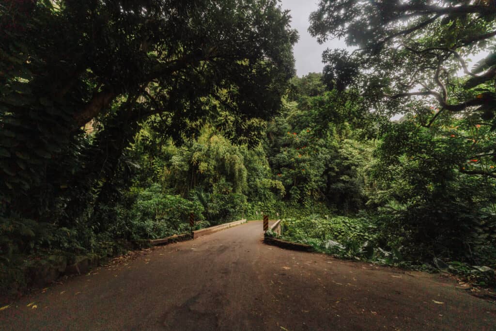 Road to Hana one lane bridge