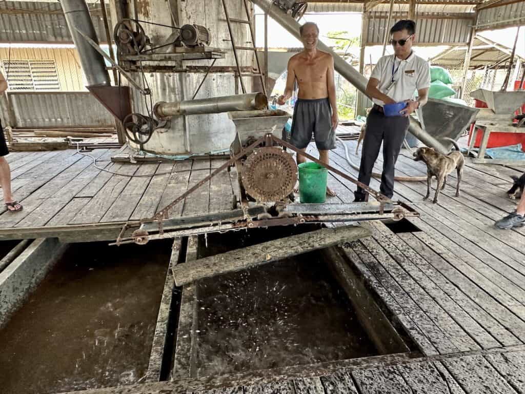 Feeding fish at a farm in Tan Chau