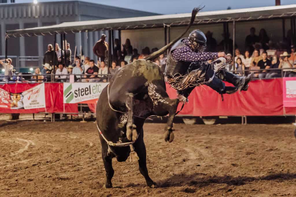 Big Sky Rodeo in Great Falls, MT