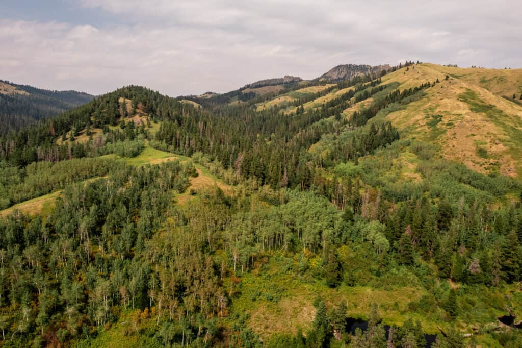 Mount Baldy in the Highwood Mountains of Montana