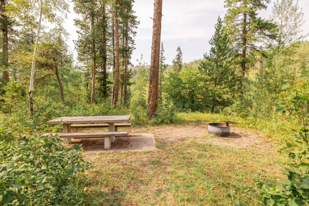 Camping near Great Falls, MT, in the Highwood Mountains