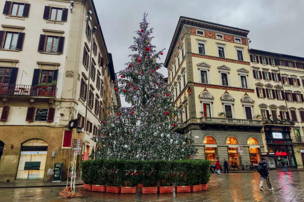 Christmas tree in Florence Italy