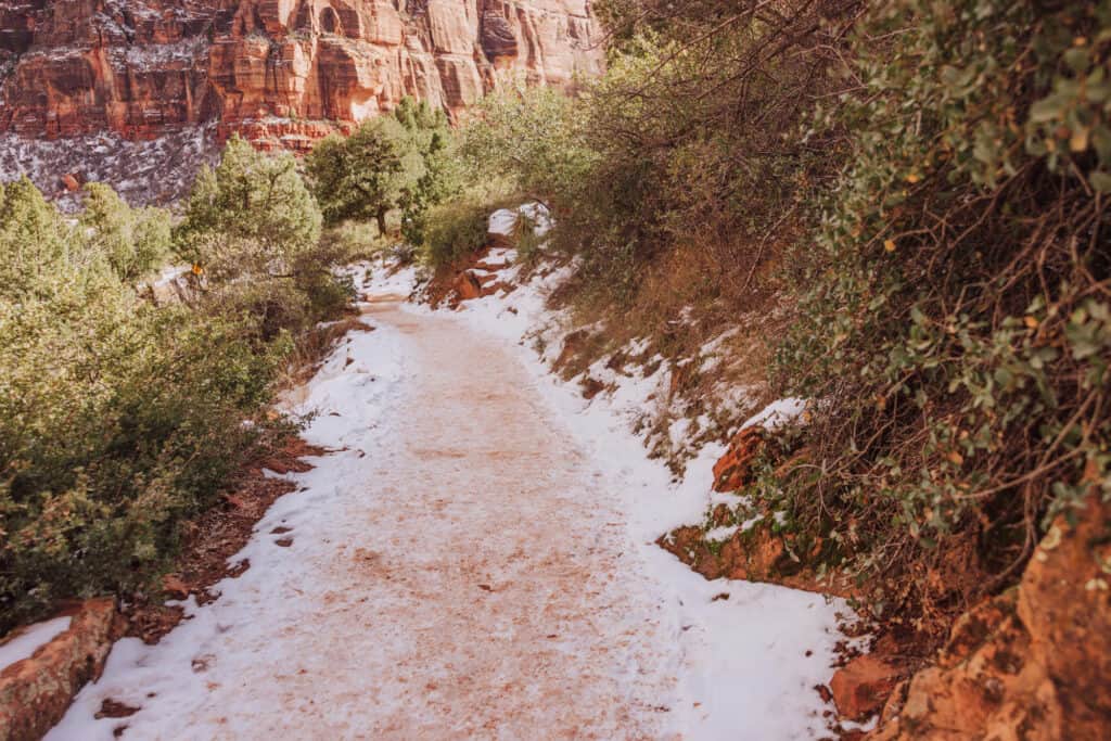 Snow on Angel's Landing trail in Zion