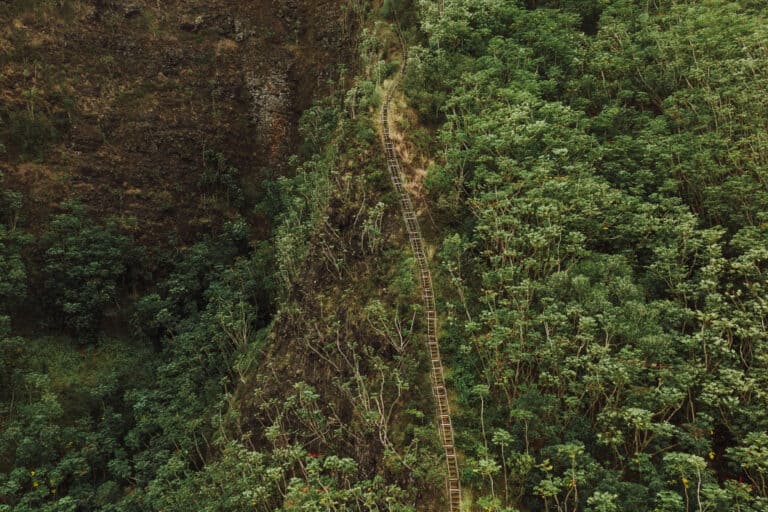 Stairway to Heaven Hike in Hawaii: The Legal Way [2025 Update] - Jared ...