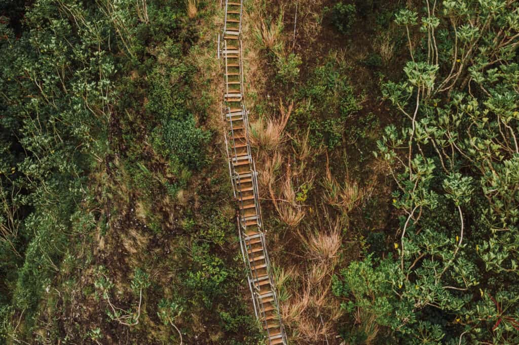 Removing Hawaii's Haiku Stairs