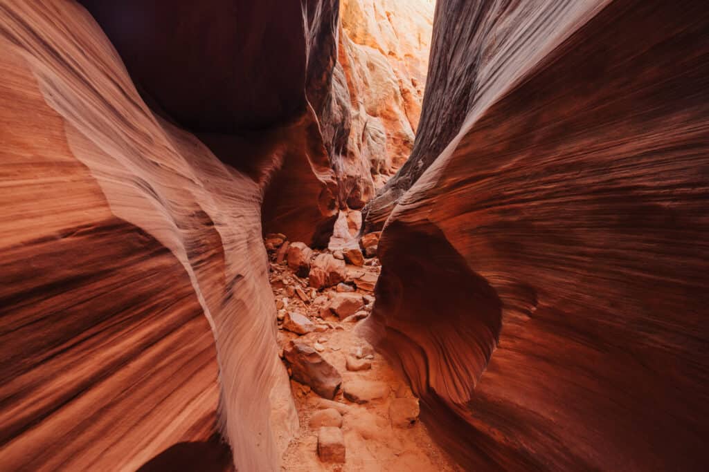 Walking through Cardiac Canyon