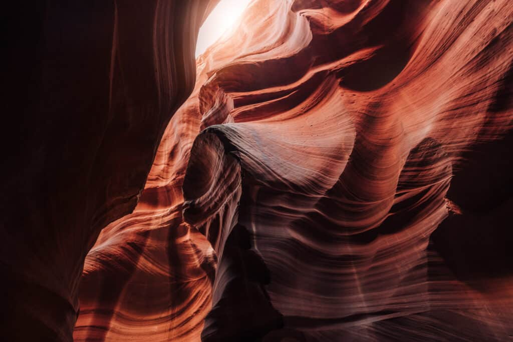 Cardiac Canyon Navajo Sandstone
