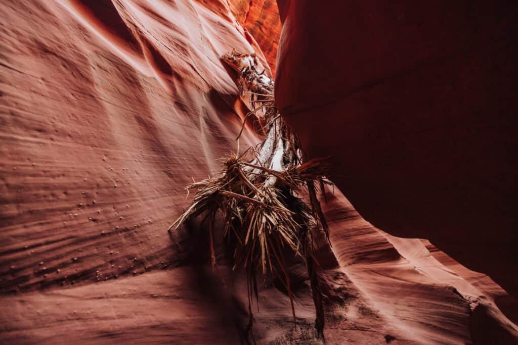 Flood debris in Cardiac Canyon