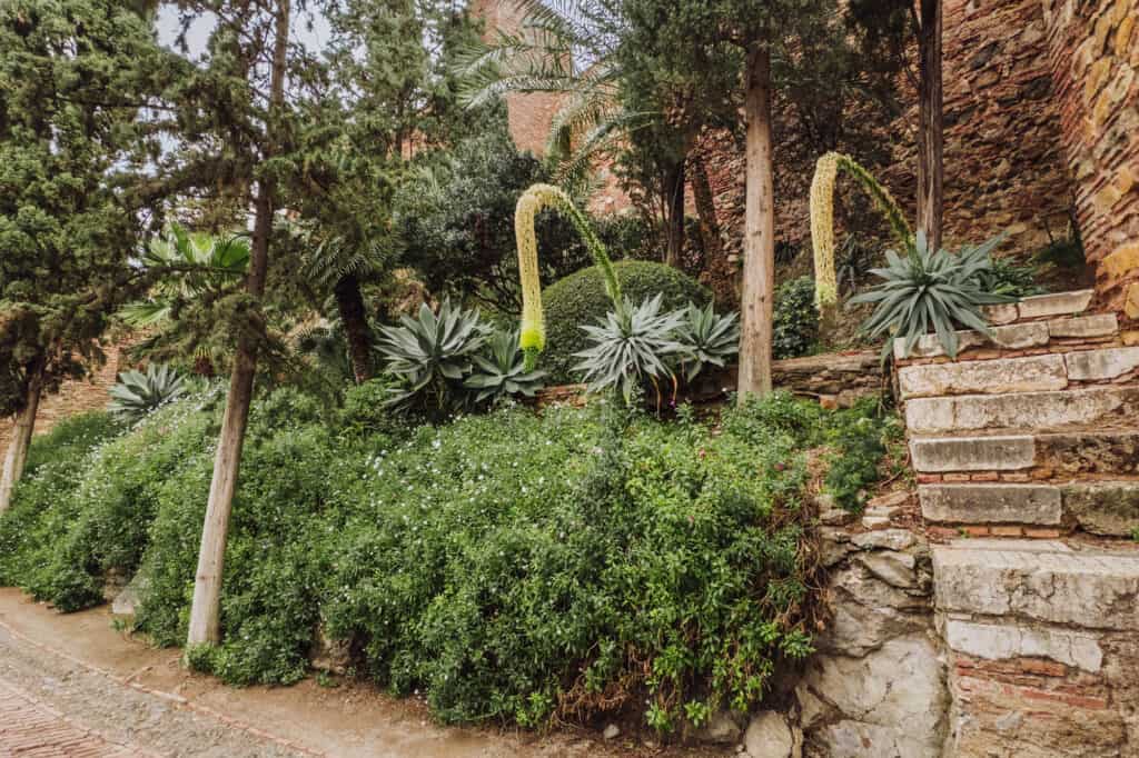 Gardens in Alcazaba in Malaga