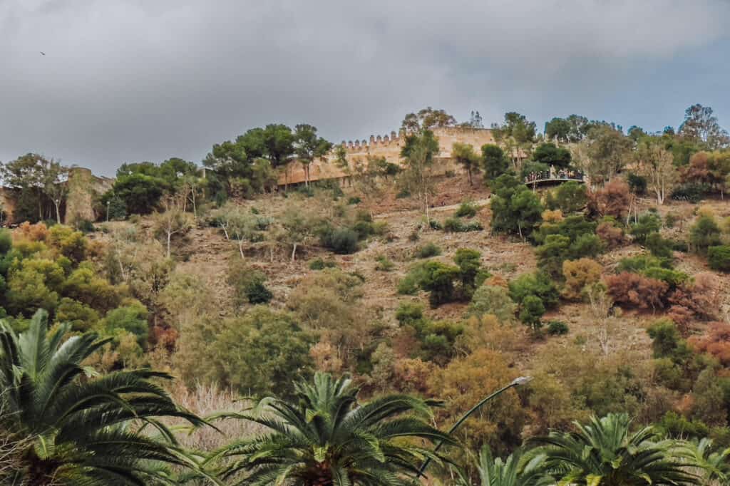 Castillo de Gibralfaro