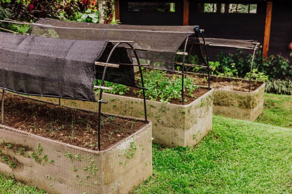 Sustainable Bali hotel: Chapung Sebali resort