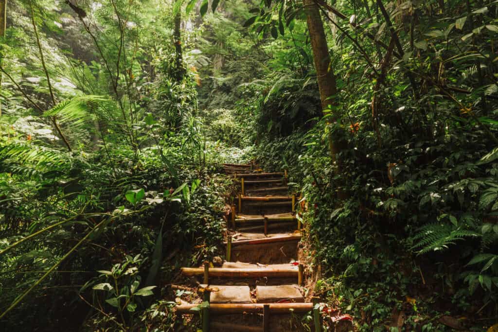 Hike to the waterfall
