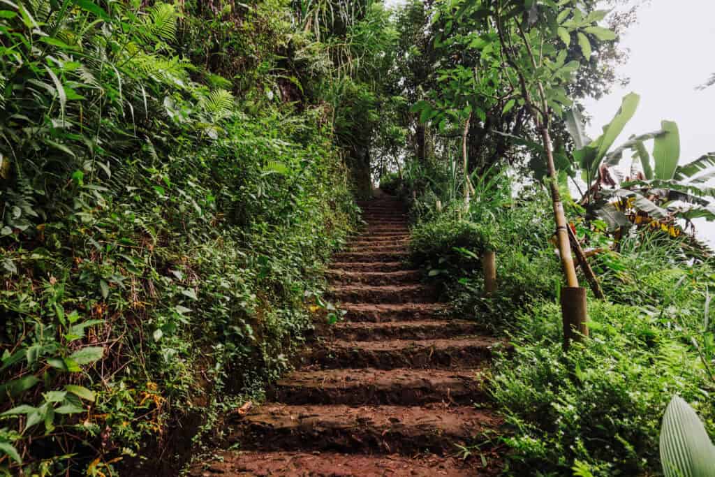 Hiking trail at Leke Leke