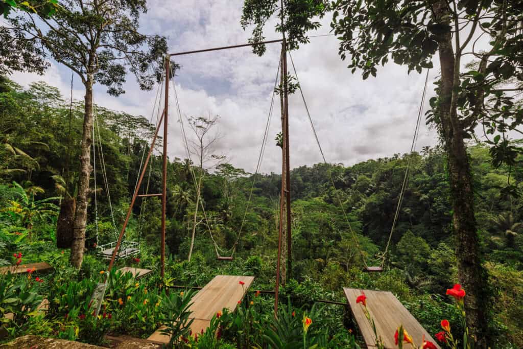 Bali jungle swings