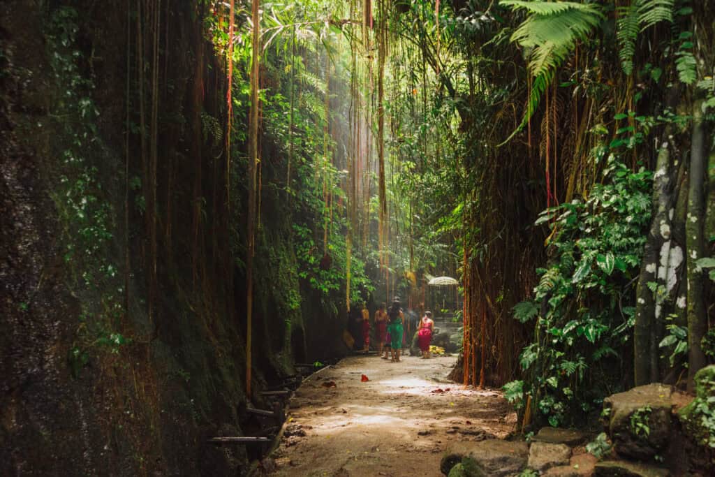 The hiking trail to Taman Beji Griya waterfall